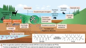 PFAS na agricultura brasileira